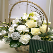 Sparkle Chocolate Gift Set